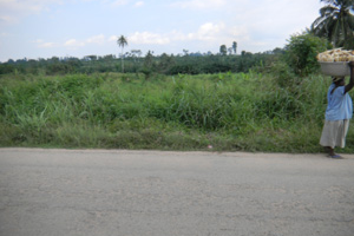 main road plot