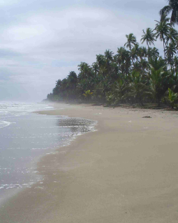 eikwe beach view shoreline2 oct2009