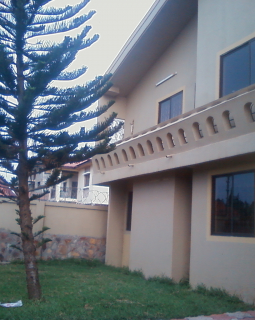 photo 0099