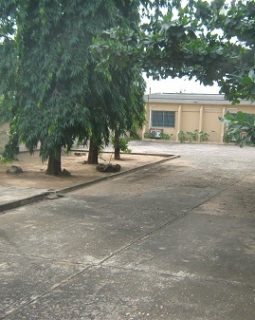 new image2