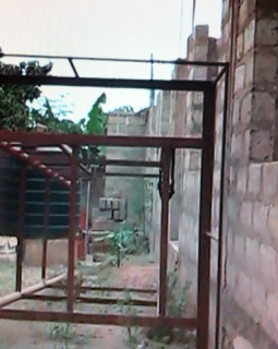 photo1