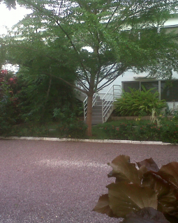 img00321 20100721 1718 2
