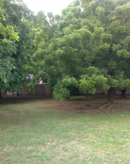 5bedroom american house 021