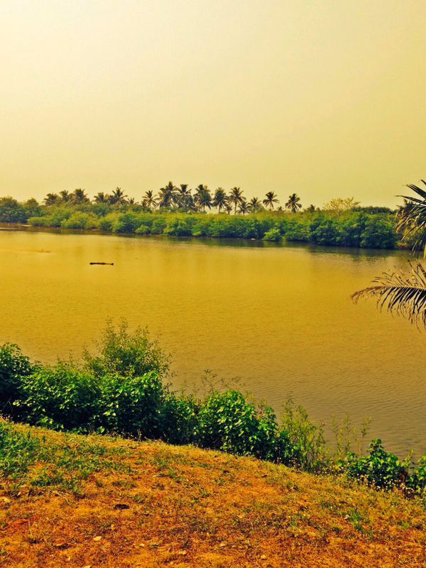 2 plots of beachfront land in Takoradi for sale » Ghana Property & Real