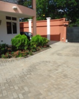 dsc01942 1