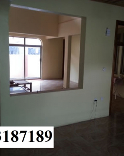 no name 1031 70141 4 zoom