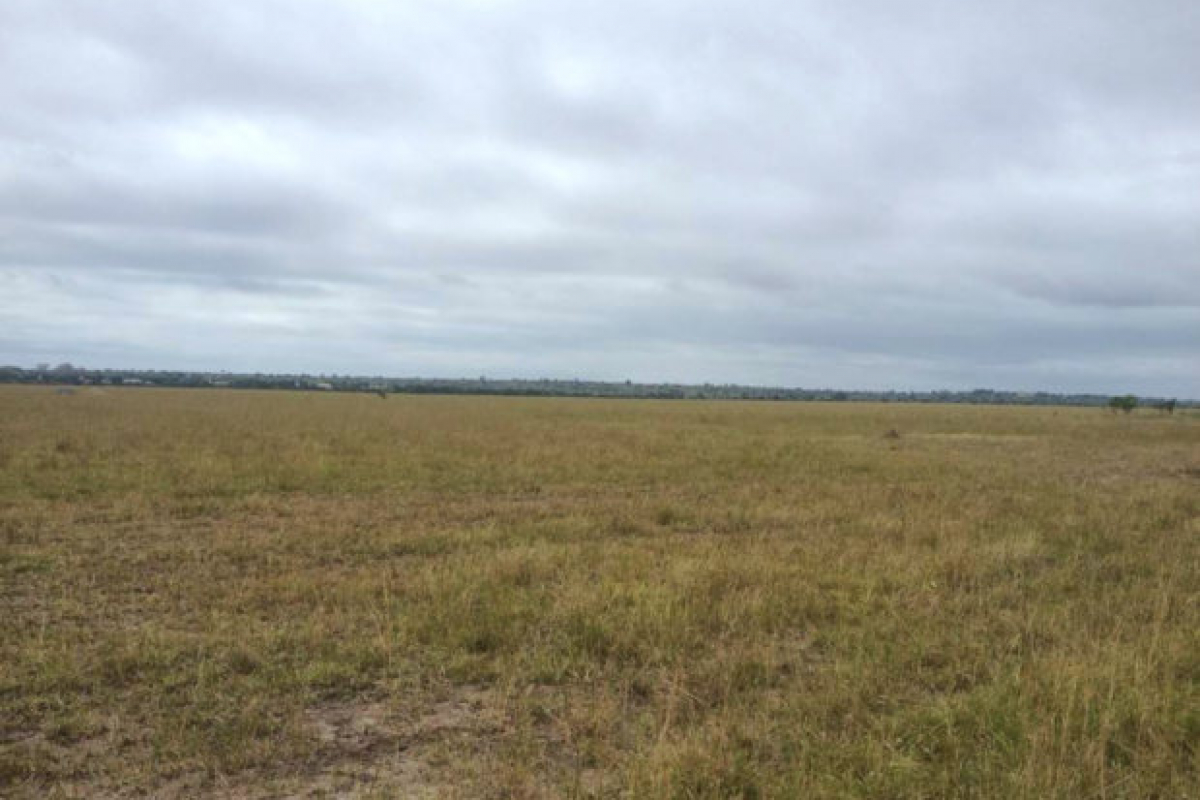 REGISTERED PLOTS OF 165 50 ACRES FOR SALE Ghana Property Real 