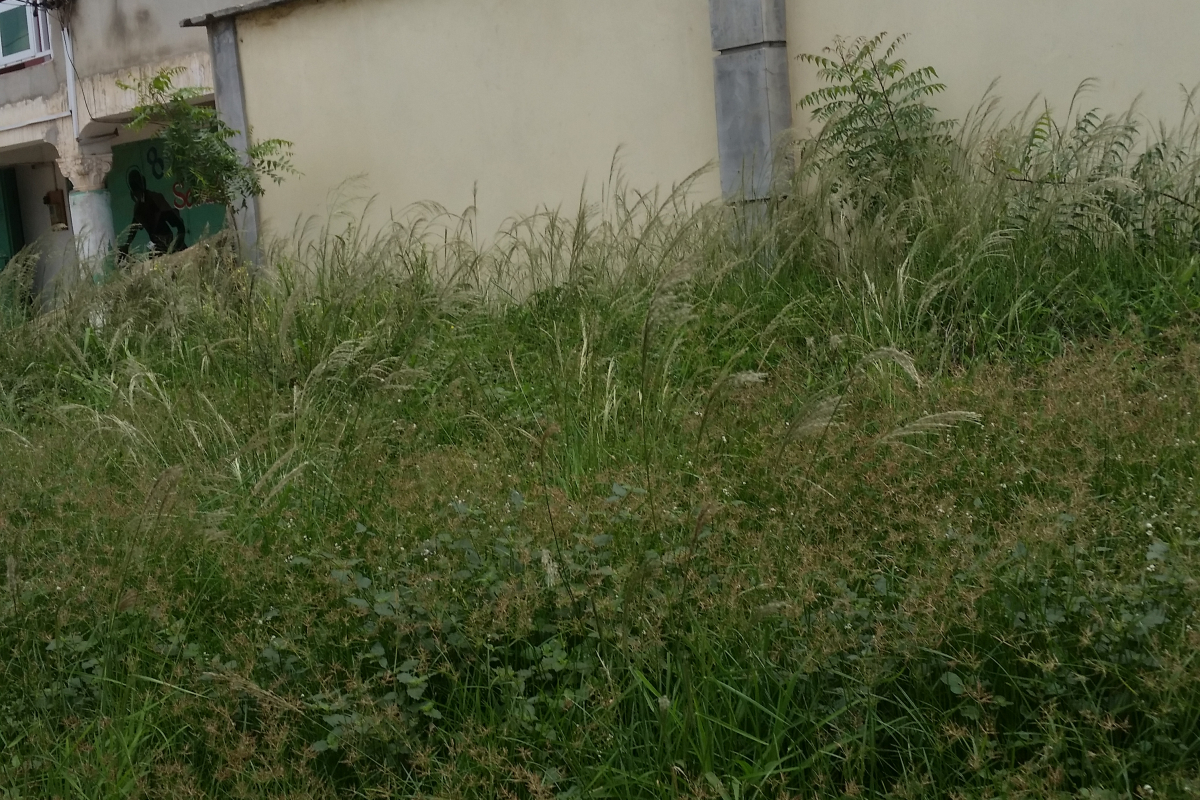 3 plots of Land for sale Dome » Ghana Property & Real