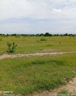 ckaiSoVdM6rL
